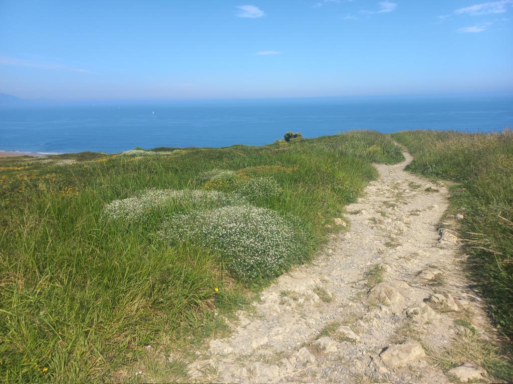 Capitán Tiempo ⏳ (@capitantiempo) on Twitter photo 