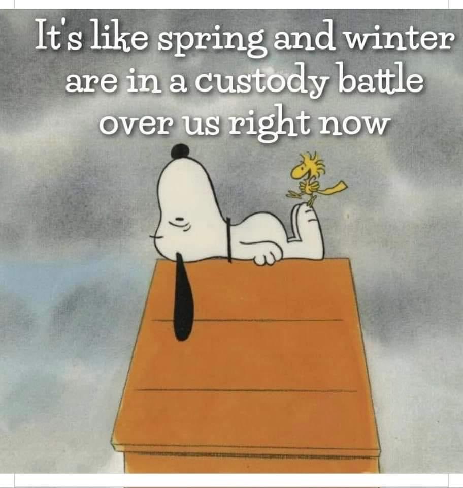 #POstables I think this is the truth. It’s gone back to being cold and kind of miserable here. 😏