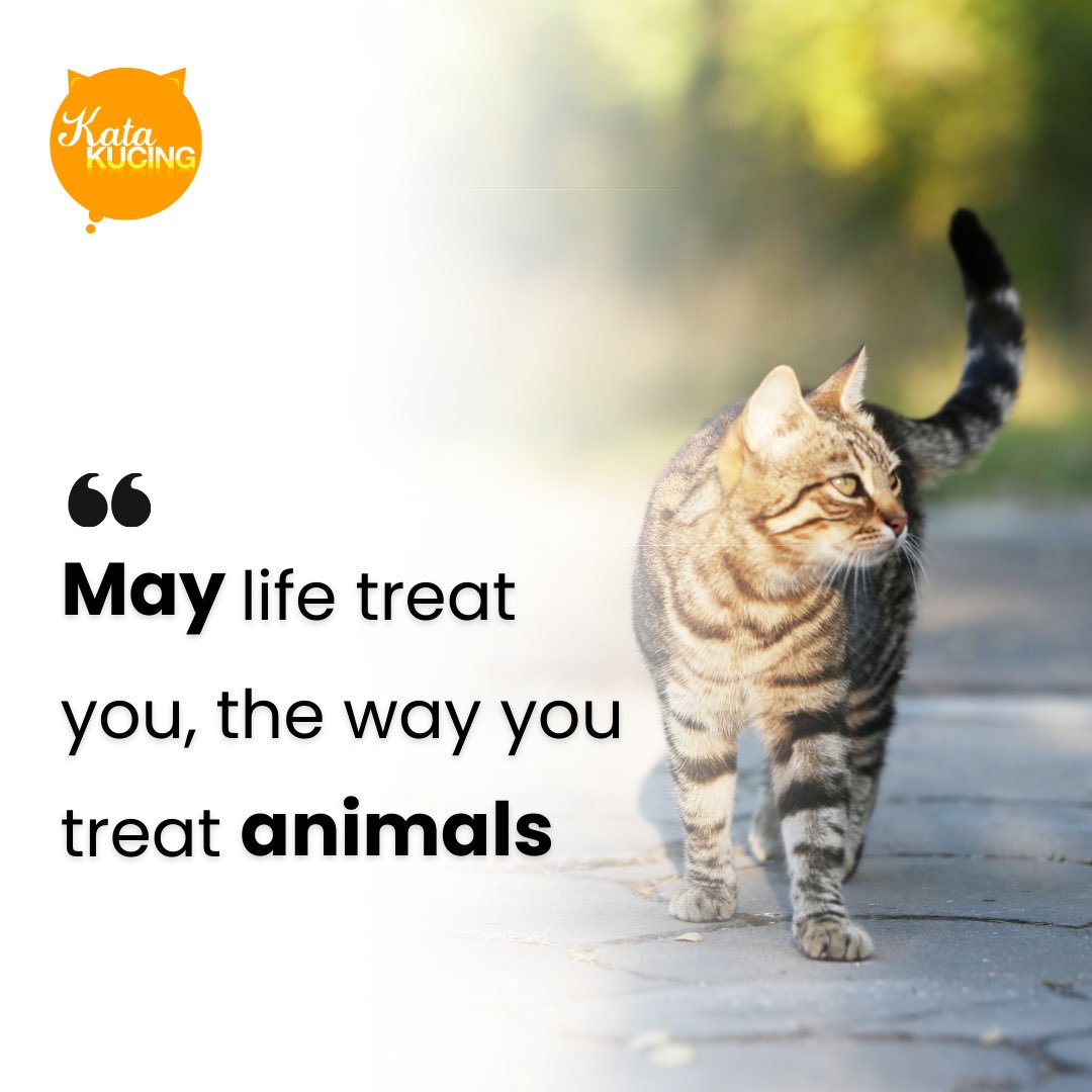 selamaaaat pagiiii

#KataKucingQuotes