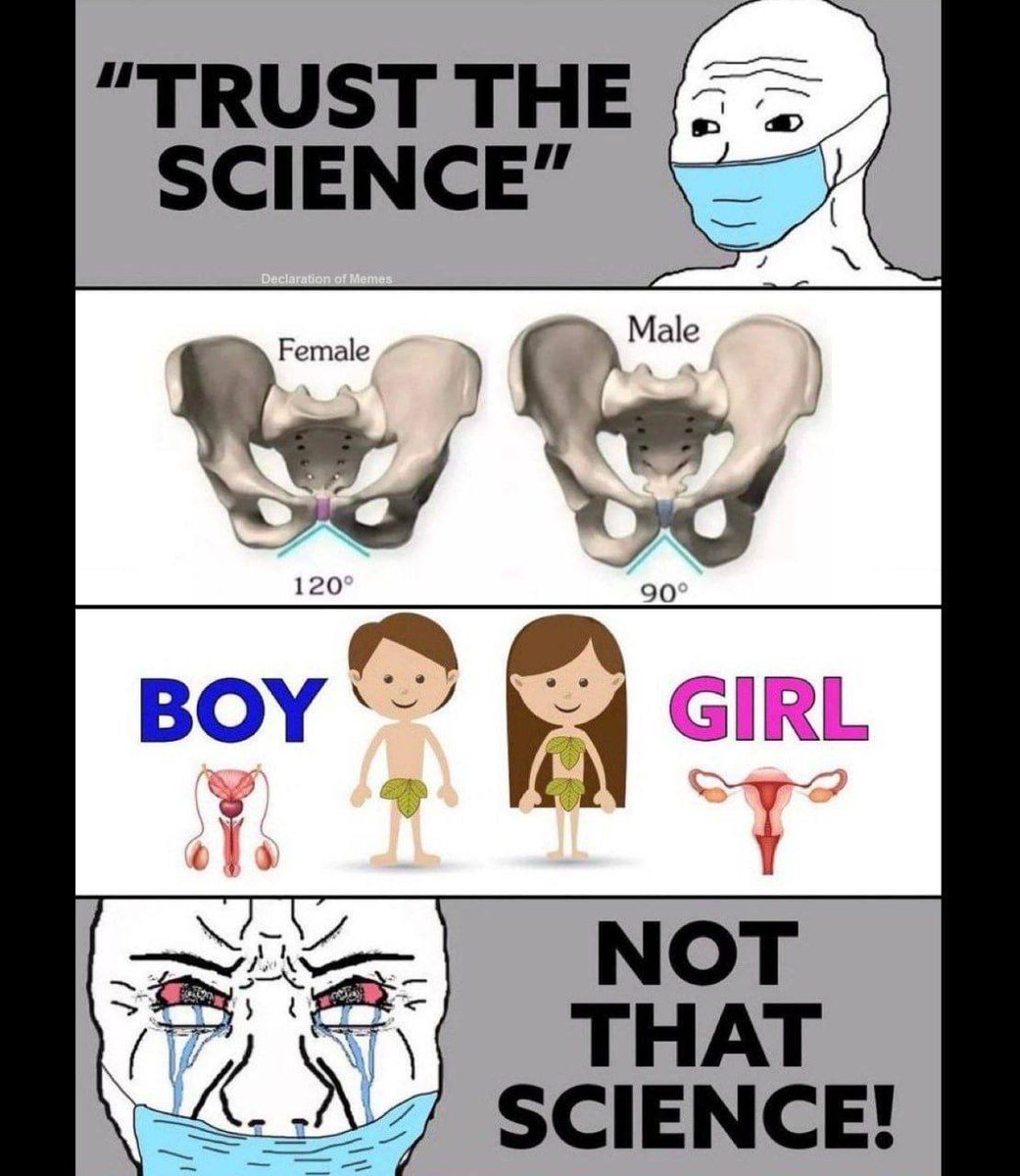 ScIeNcE!