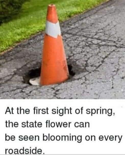 #POstables I think this is the state flower of many states! I’ve sure seen it blossoming here in Ohio! 😳🤨