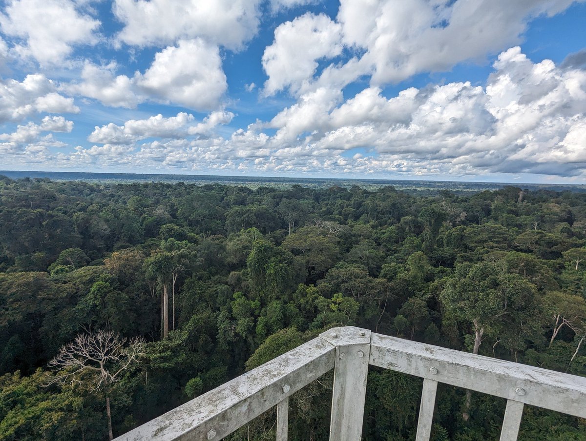 I am currently in the Peruvian Amazon with <a href="/BeccaNeum/">Becca Neumann</a> and Robin Ruhm helping with fieldwork exploring where mercury contamination from illegal gold mining is going, and potential negative effects on photosynthesis. Enjoy some views from the rainforest!
