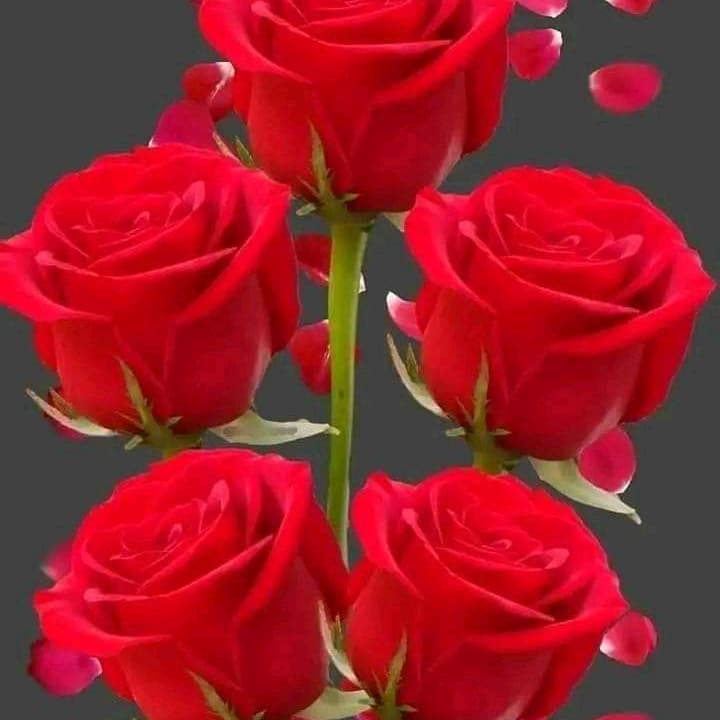 double65226 tweet picture