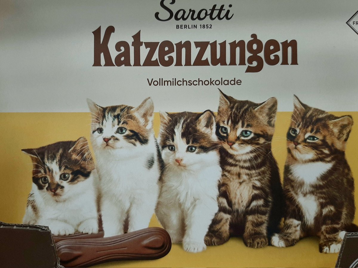 European Gourmet Chocolate #Cat #kittens
#Sasha Market #SanAntonio Texas
#YummyliciousChef🐻 #Food #Travels 
@melissajean98