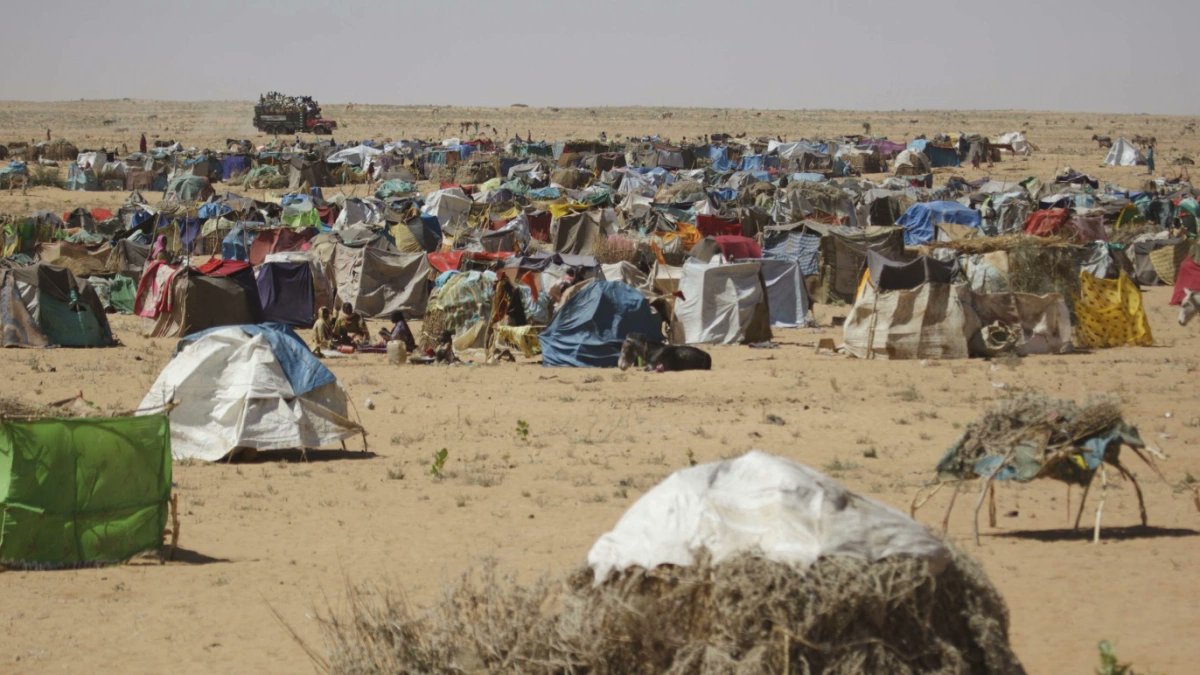 us after building our armies. He does not like this. It is certain that they will create other ways, but they do not exist, and we will remain the rest