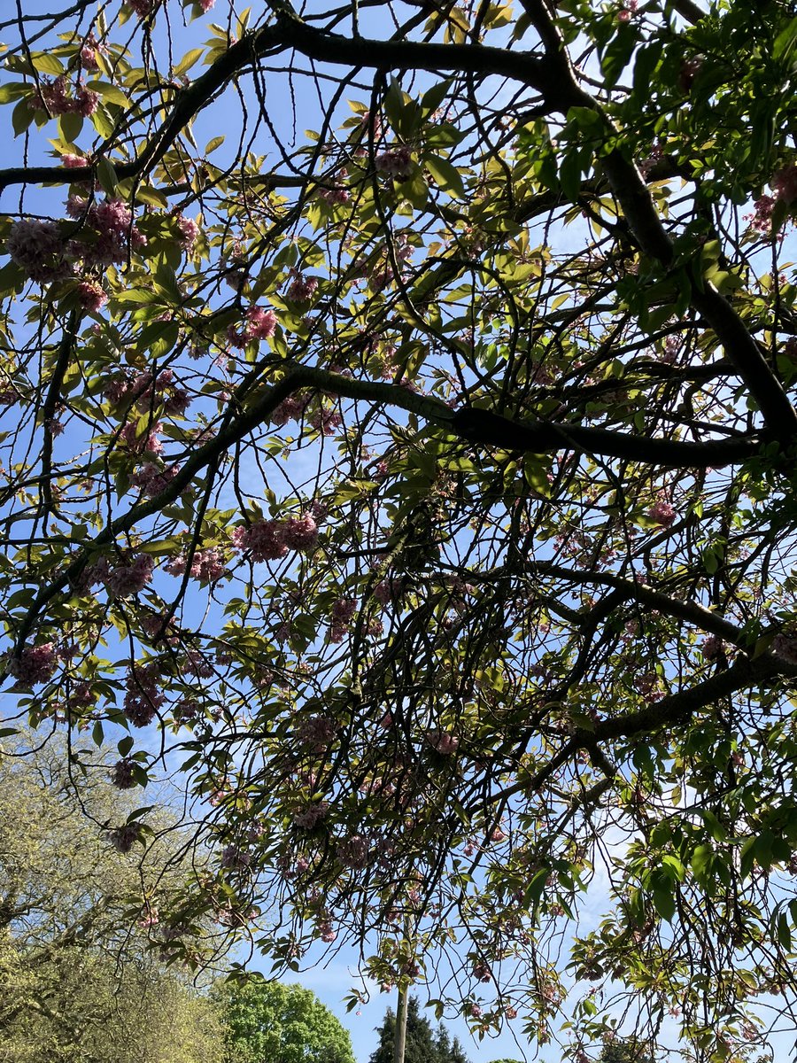 Gordon Bicker tweet media