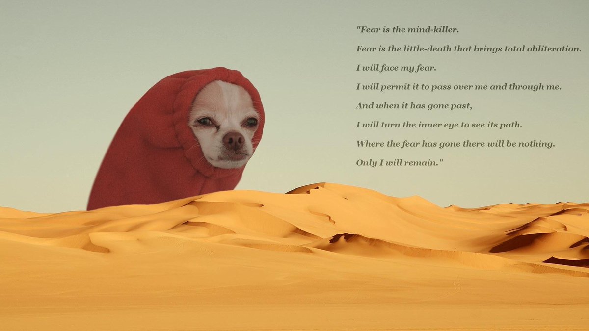 stsmith01's tweet image. #DUNE #DUNE2 #MINDKILLER