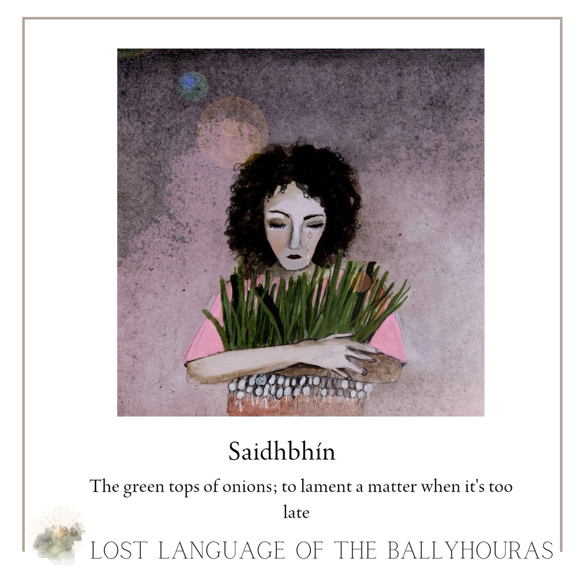 SAIDHBHÍN The green tops of onions. [Dinneen’s Dictionary: saidhbhín a dhéanamh de scéal, to make a lament of a matter when too late.] Illustration by Enagh Farrell