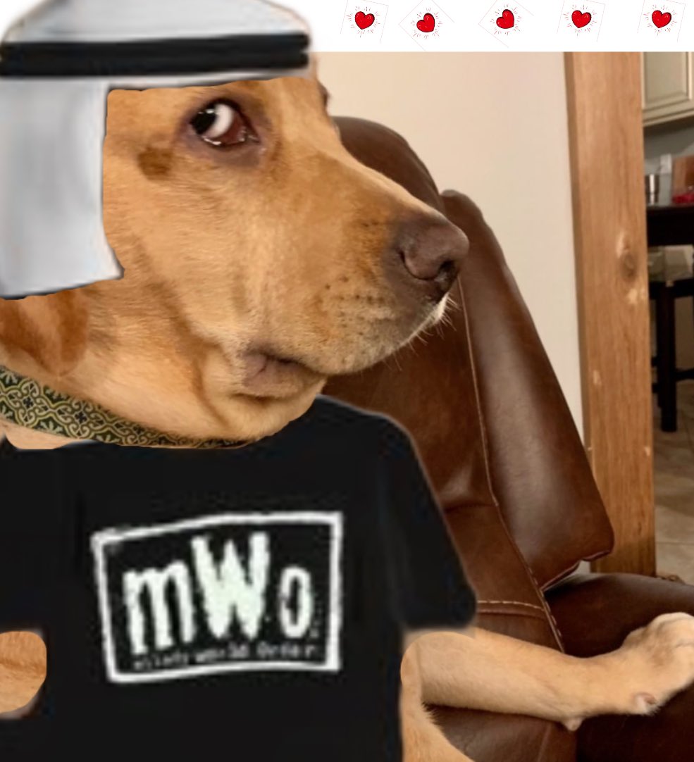 Side Eye Dog Coin | SOLANA tweet media