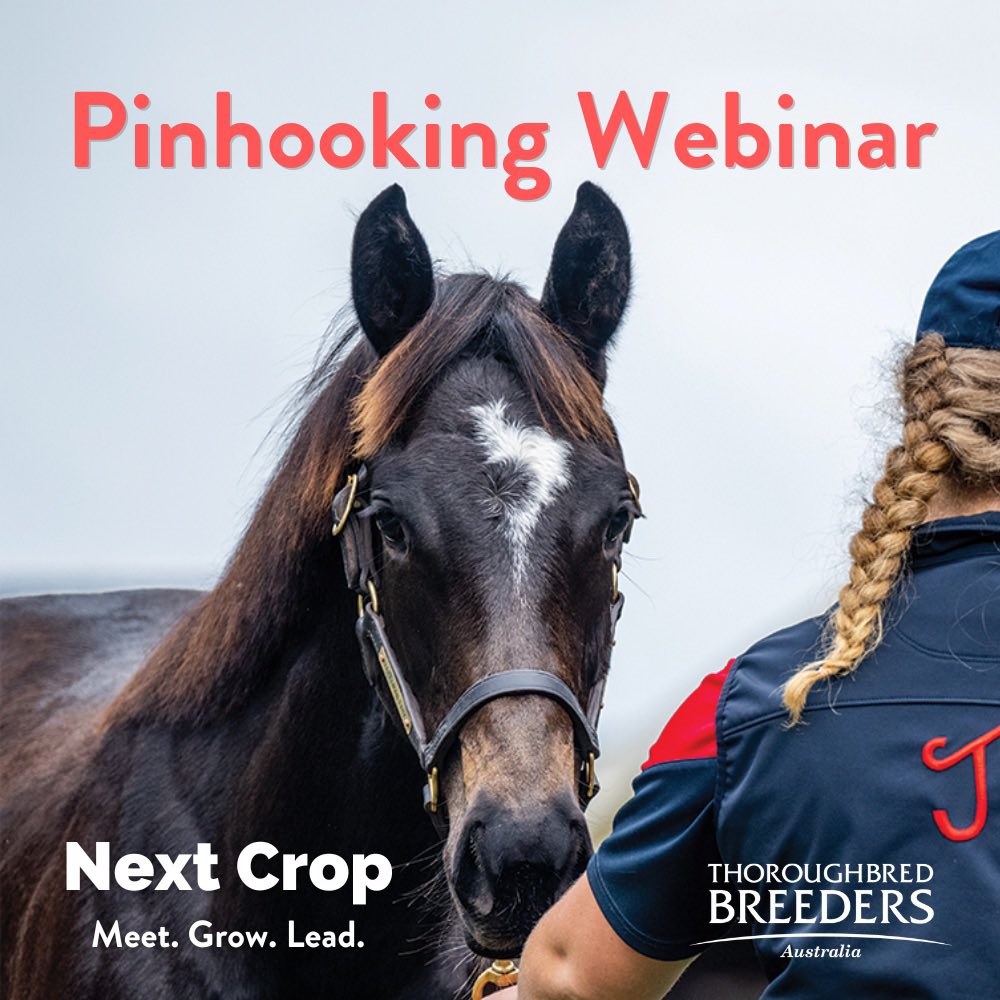 Join us for the TBA Next Crop pinhooking webinar this Monday, May 13th at 6:00 PM. Hear industry experts Rae-Louise Kelly, Ryan Arnel, and James Hetherington share valuable insights, covering topics like rewards, risks, costs, choosing weanlings, and judging pedigrees. Register