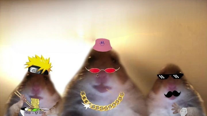 Hamster coins are onboarding the masses to crypto this cycle 🐹

The meme is the OG staring hamster meme.
knowyourmeme.com/memes/staring-…

Seen and known by many, this checks off all the boxes of a great meme coin.

✅ Viral meme
✅ Cute little animal
✅ Mass retail appeal
✅ Cult like