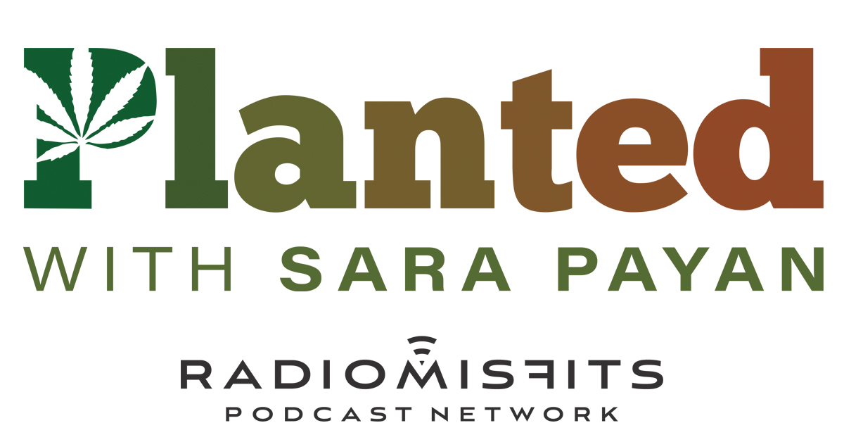 .@PlantedWithSara EP105: @SaraMPayan talks about legacy genetics and cannabis science with Jeremy Klettke, Founder and CEO of @davishempfarms radiomisfits.com/psp105