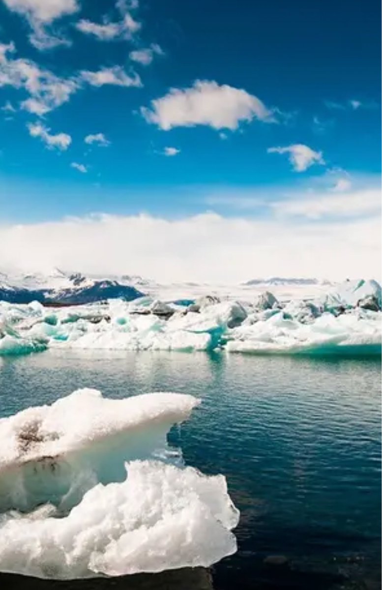 AgencyRhapsody's tweet image. 🇮🇸See the Northern Lights

Iceland in 6 Days, 4 Nights in Destination

    #GeysirGeothermal Area #GullfossWaterfall #Jokulsárlón #GlacierLagoon #Reykjavik #Vik #iceland #europe #northernlights #onceinalifetime #adventure #nature #couples #solotraveler #culture #winter