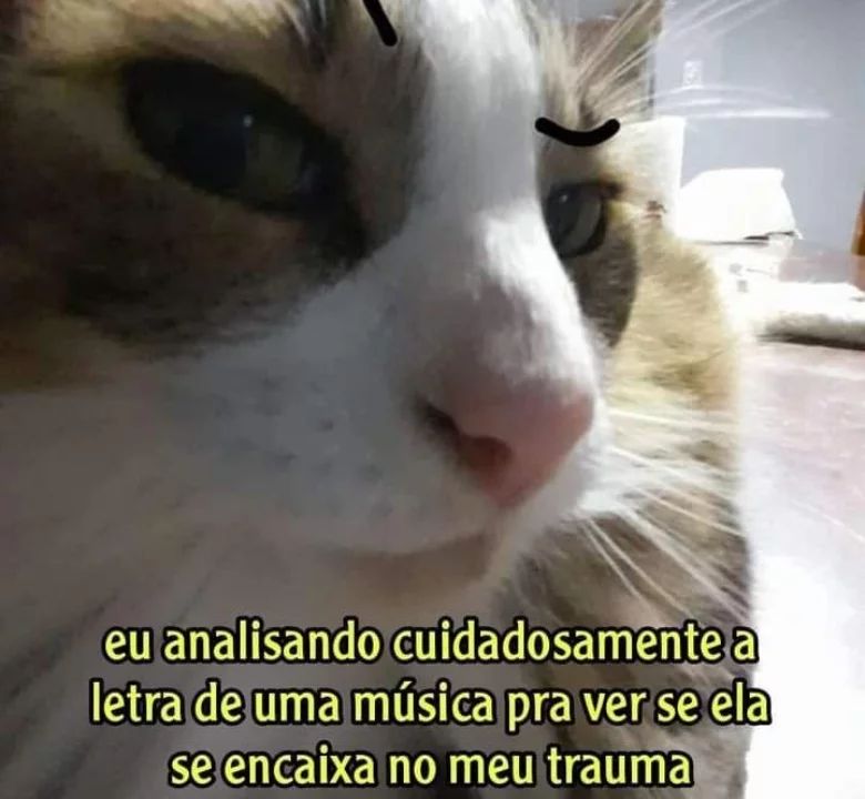 perfil dedicado a gatinhos e peitos (@odeiootaco) on Twitter photo 