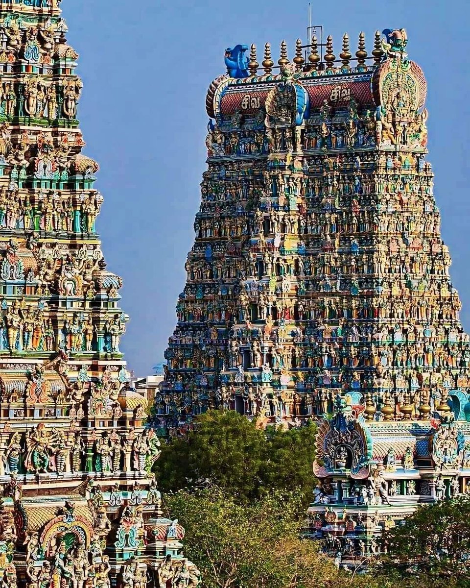 Best View of Minakshi Temple Madurai Tamilnadu, India 🇮🇳
.
.
#india #visitindia #indiatourism #indiatrip #travel #photography #artandall #architecture