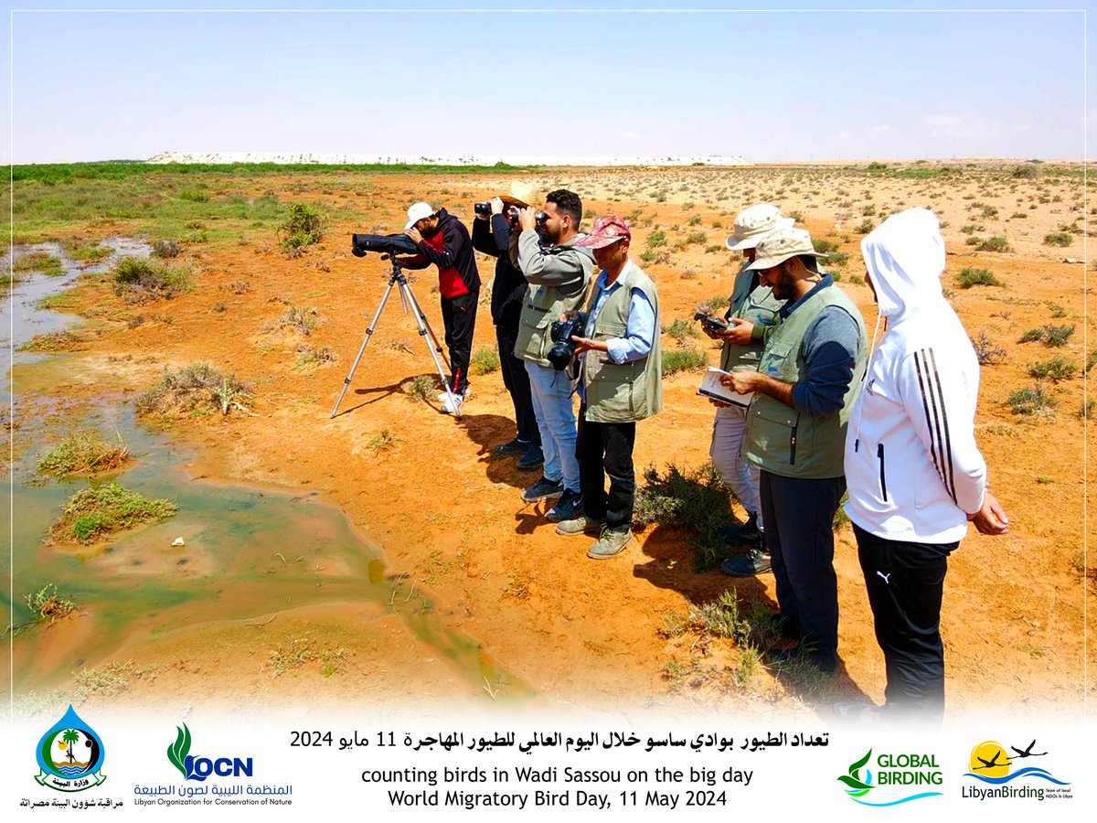 LOCN_ly's tweet photo. On the #big_day, May 11th organized by Global Birding to celebrate birds and update the global bird database.
The Libyan Organization for Conservation of Nature and Ministry of Environment Misurata office, counted the birds in Wadi Sassou. 40 species of birds were counted https://t.co/oMBTtSZQR8