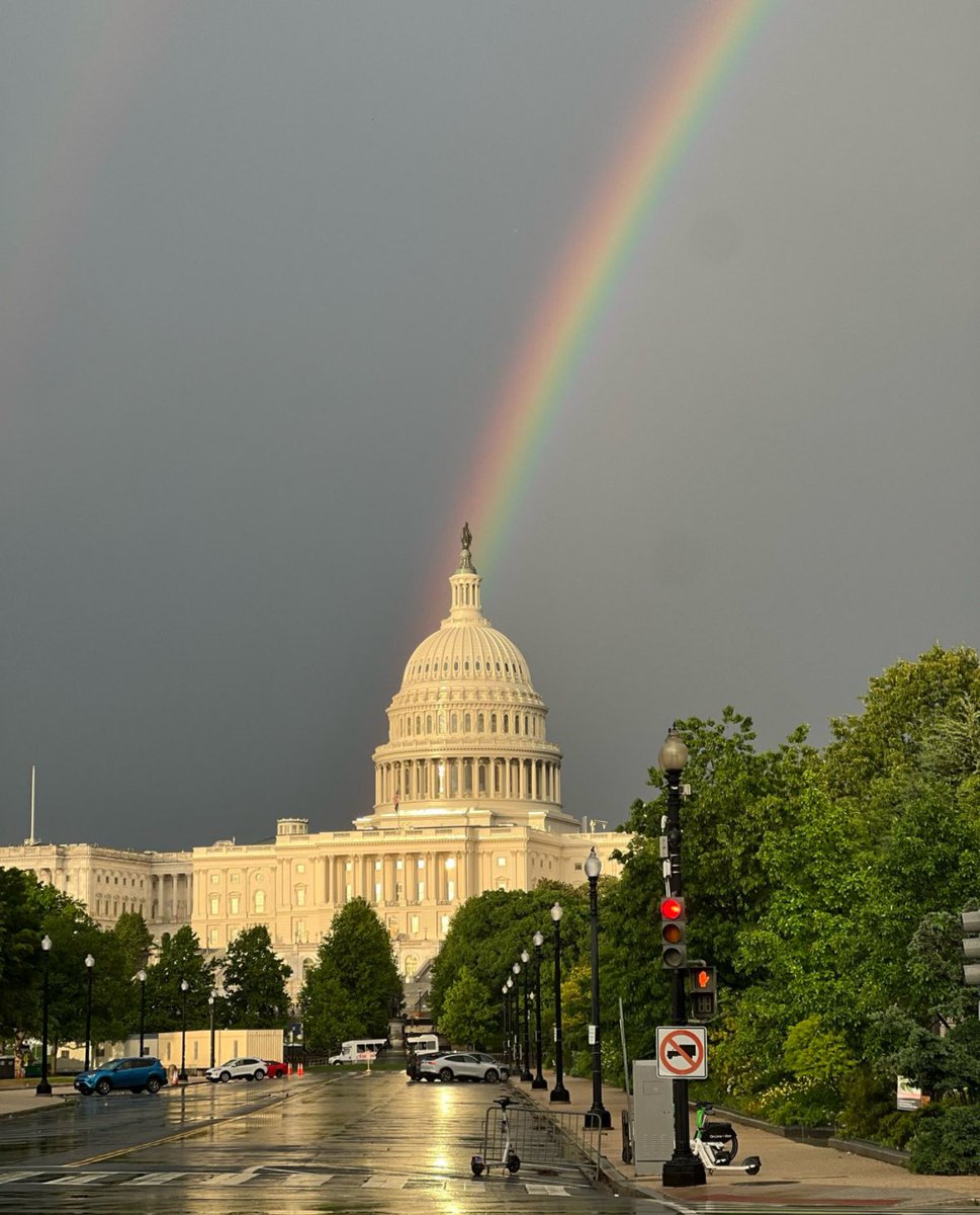 DC after the rain is giving me a lot of hope for the future. 🇺🇸 🏳️‍🌈 🏳️‍⚧️