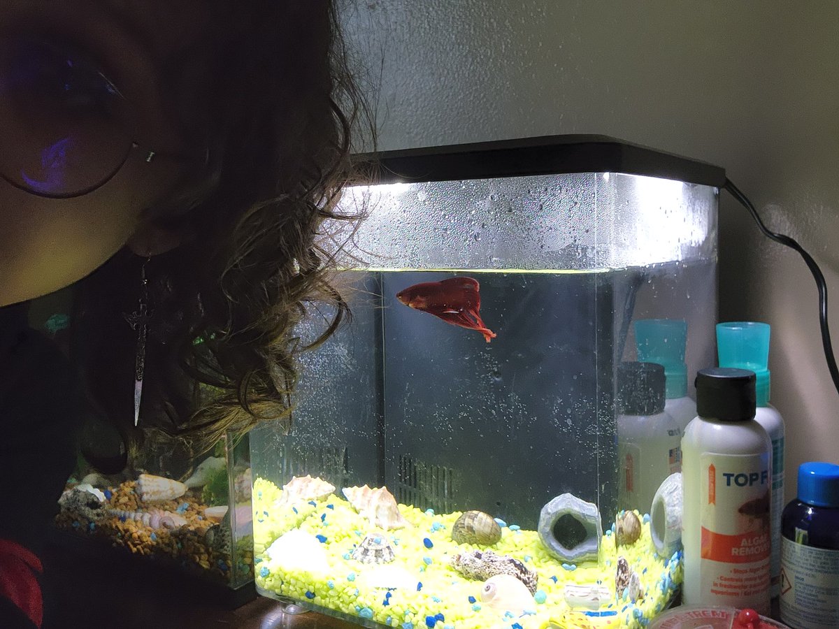 WiggleWobblez's tweet photo. Anyway yall, Francis now has a brother. His name is Kurt Cobain LMAO https://t.co/ykFAbua9sX