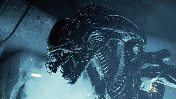 AviXialGaming's tweet image. Yesterday Stream Didnt Go So Well #1view #lmfao So It Tanked, In A Few Hours We Will Be Streaming "Aliens Fireteams Elite See Ya All There heres the links we will also be streaming some #callofduty #mw3 #ranked

linktr.ee/avixial or twitch.tv/tarnishedXsoul…