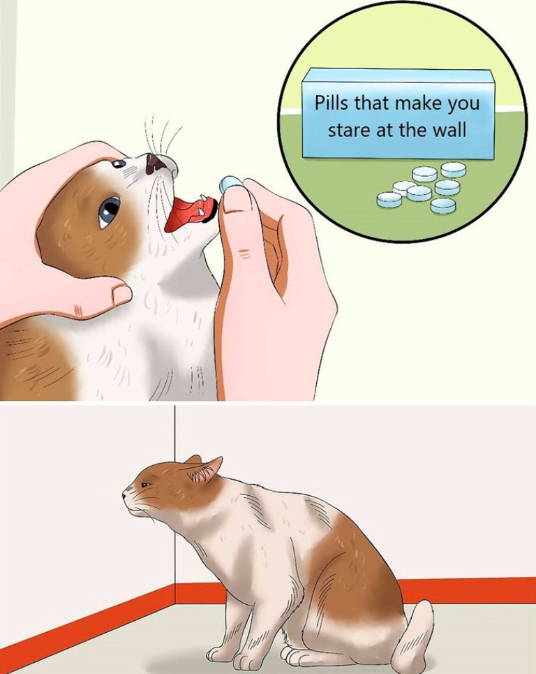 Wow...Pills That Actually Work

novelsonlinefree.blogspot.com/2024/04/humor-…

#freenovelsonline #funnyposts #funny #humor #memes #funnymemes #dankmemes #relatablememes #memesdaily