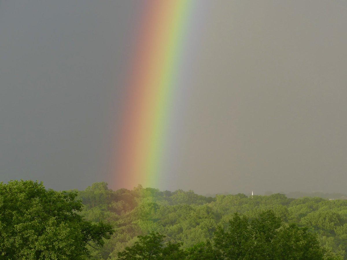 Vibrant double rainbow over Rock Creek Park in DC 🌈