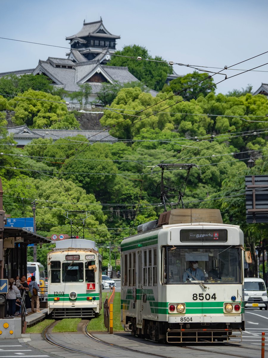 絶景🌿 2024.5.11 熊本市交通局1200形/8500形