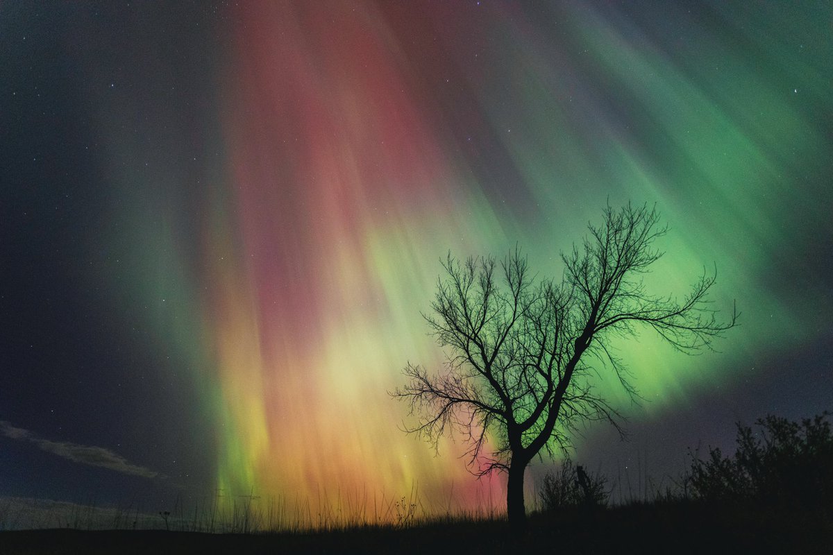 NDemunster's tweet photo. First time experiencing auroras and it went like this #aurora #sdwx https://t.co/sj7CwqMOnD