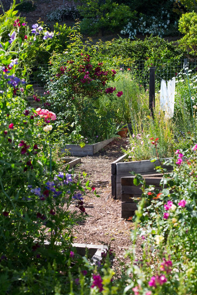 Are raised beds the right solution for your edible garden? Read on for everything you need to know! #Gardening #Gardening101 #RaisedGarden #RaisedGardenIdeas #actualinstagramhomes LocalInfoForYou.com/284487/hardsca…