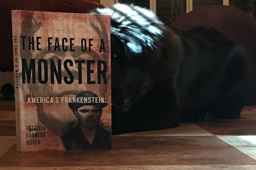 'The stories about Blockley were terrifying and served to prepare us for what came next. This part could easily be the writing prompt for literally hundreds of new novels or TV shows.' #Bookreview #5stars #History #Frankenstein amazon.com/Face-Monster-A…