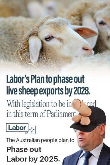 Instead of exporting sheep, Labor are more interested in importing millions of human sheep that will vote for them.