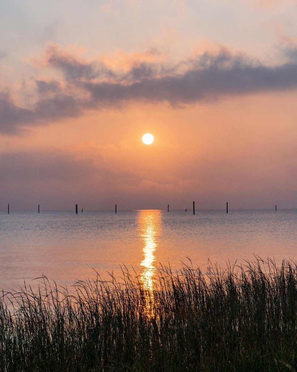 That view is... *chef's kiss* 😙 #CoastalMississippi #PlayCoastal

📷 kimieyates