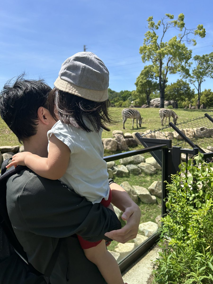 昨日のズーラシア。新緑が綺麗。
小学生無料DAYでありがたい🙌
2歳児はシマウマに夢中🦓