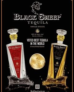 tequila_sf's tweet photo. Black Sheep #Tequila Shines at 2024 San Francisco World Spirits Competition https://t.co/RB5Ws4FEAk https://t.co/FBn7RE7wWS