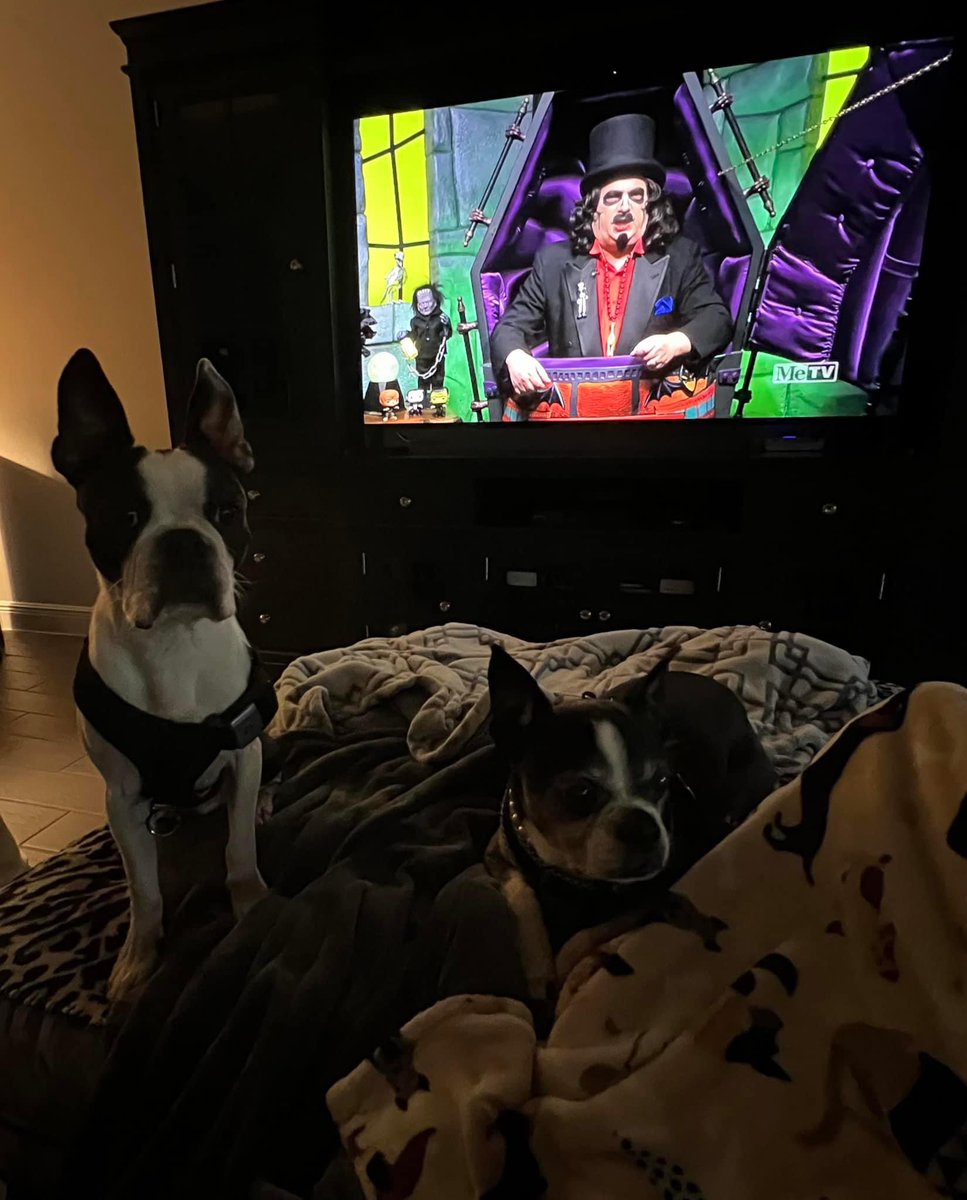 Happy Svengoolie Saturday!  Say it LOUD if yous is joining us tonight to watch The House of Frankenstein!! 📢This is one of ours faves!  We is at grandma’s so we has Publix popcorn tonight. 😂🍿 - Molly & Mickey ❤️🐾

#twohappybostons #Svengoolie #svengooliesaturday #movienight