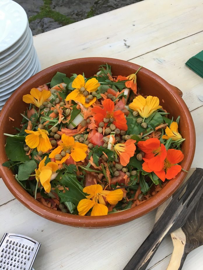 Discover the beauty and flavor of edible flowers. Explore various types of edible flowers and learn how to incorporate them into your meals.
pioneerthinking.com/edible-flowers…
#Edibleflowers #foraging #cuisine #foodie