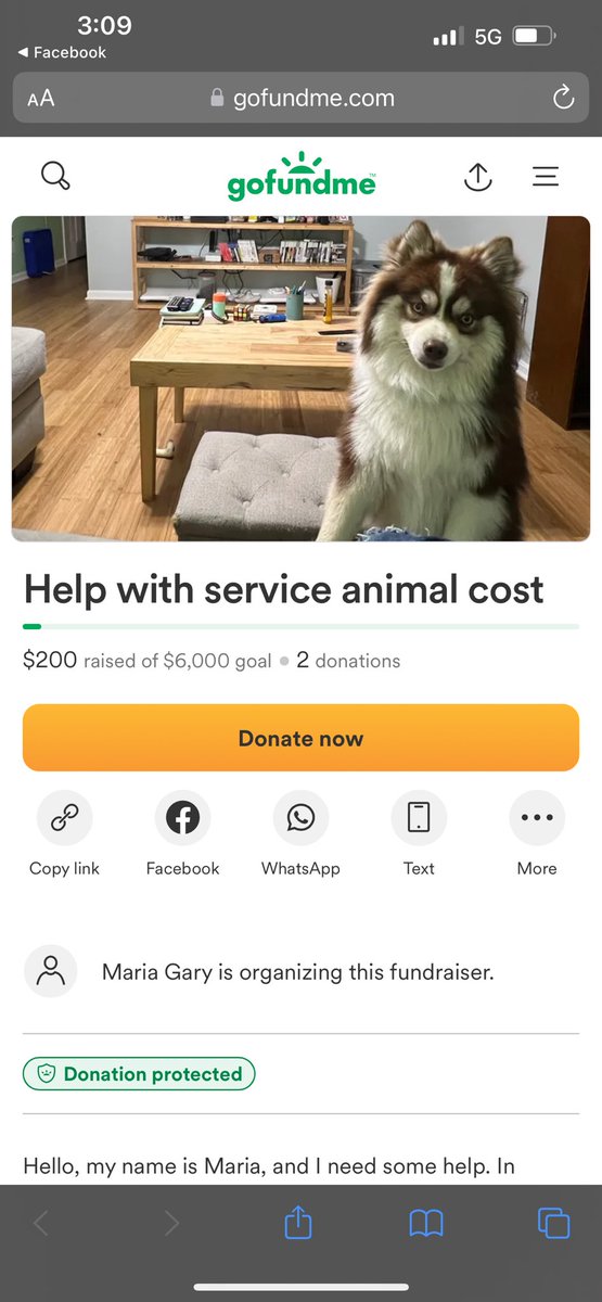 So far I’ve gotten 400$, my next few paychecks will be going towards my total, I have 200$ in the #GoFundMe and 200$ in my savings for his training. It’s happening slowly! 
#GoFundMe #ServiceAnimal #ServiceDog #onmyway #makingprogress @pulte