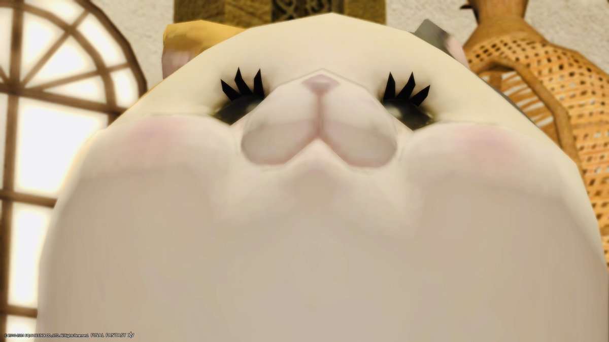 14SS_camera's tweet photo. ドドドドーン🐾 https://t.co/ULaBVcAQ7I