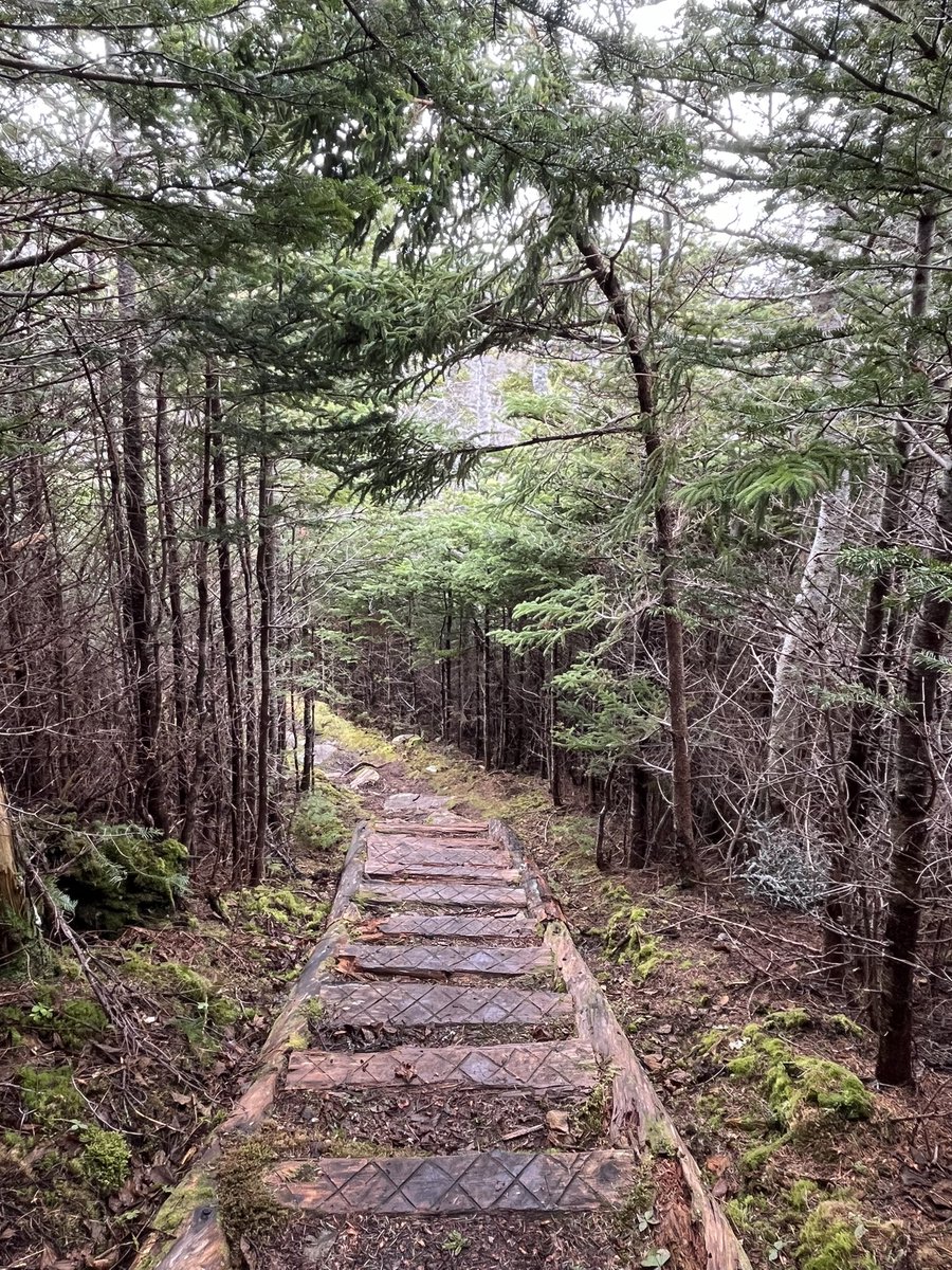 Nature therapy always delivers! 🌊🌲🥾
From the spectacular ocean views to steep climbs, sheltered gullies, tilted rock ledges, waterfalls, and the lovely forest slopes - I simply adore
Biscan Cove Path! 

📍Biscan Cove Path, @EastCoastTrail 

#ExploreNL #HikeNL #ECTLove