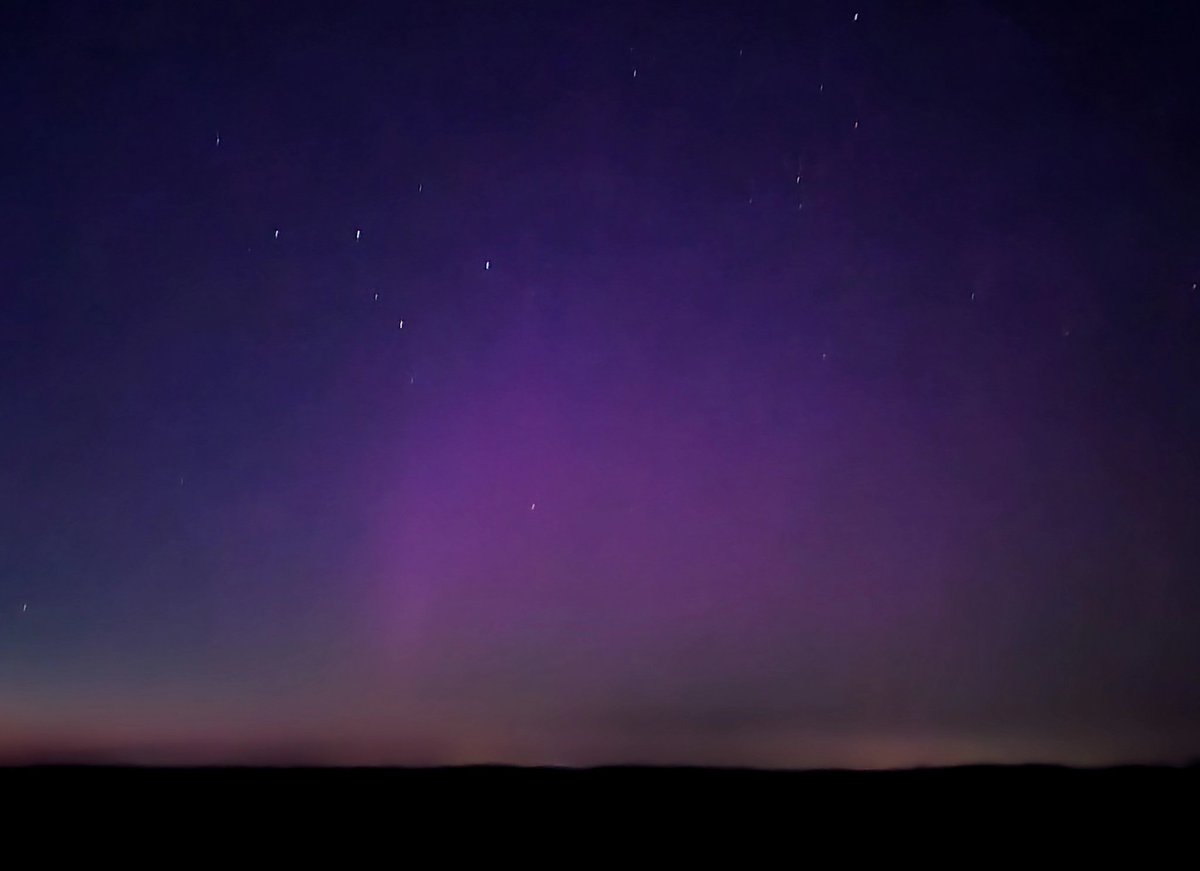 fochtelooerveen info tweet media