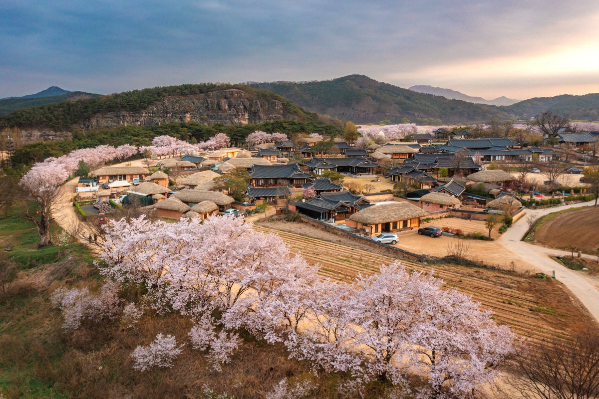 Existen varias aldeas de casas tradicionales en Corea y una de ellas es la Aldea Hahoe de Andong 🌸

Es especial, porque conserva la estructura de una aldea tradicional de la dinastía Joseon 😀

➡️Más información: bit.ly/3JV0rIl

📸daily_kdi