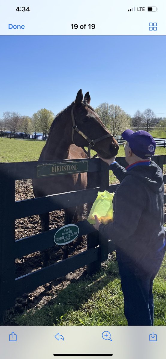 @AdamBjorn2 @KentuckyDerby @Oldfriendsfarm 2 years ago. One of the best days ever seeing him again. 120,000 ppl at Belmont that day and I’m one of the few screaming for him.