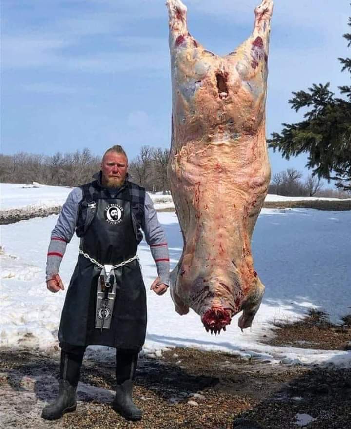You may be a bad ass. Could you kill this animal with your  bare hands like Brock Lesnar?