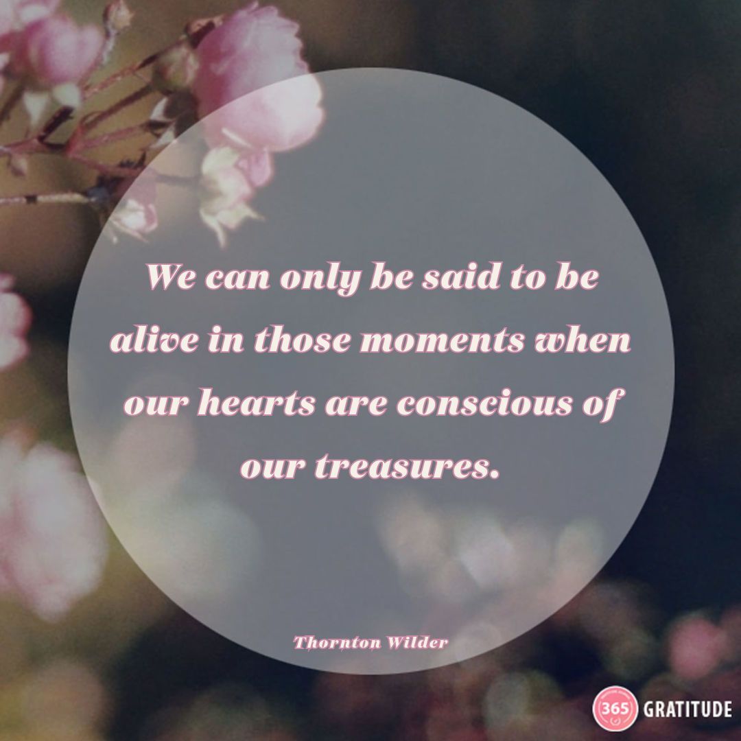 Find joy in the present moment, it's where your treasures lie. #gratitudejournal