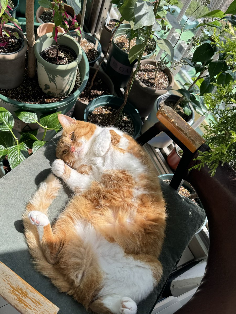 꼬맹이 일광욕 ☀️