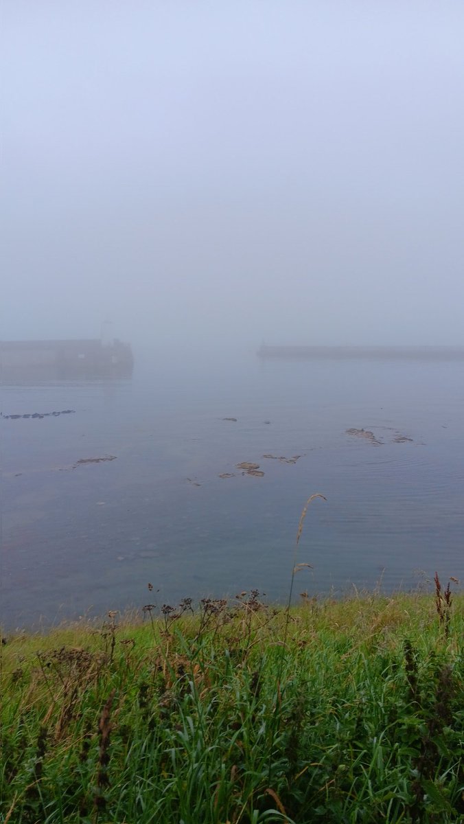 Morning guys a lot of fog about this morning hopefully it gets burnt off #Seahouses @NorthEastTweets