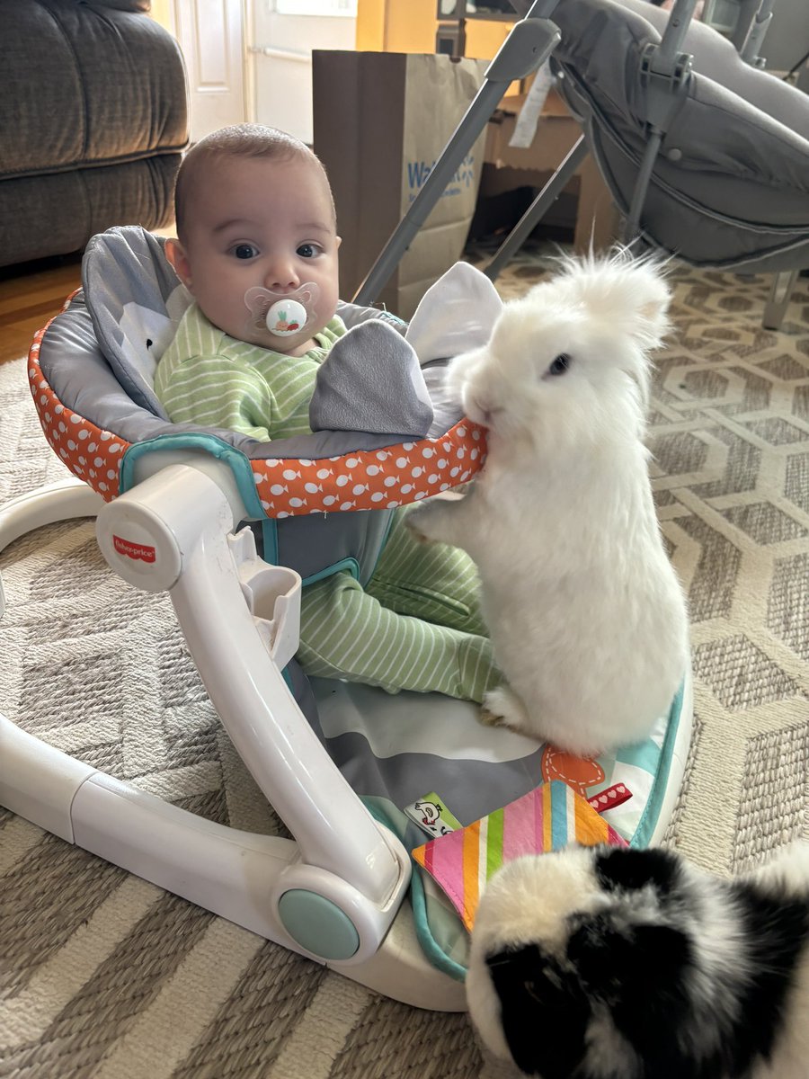 hoeftmikey's tweet photo. how has my baby girl already gotten so big 🥺 https://t.co/L5wTf23kpR