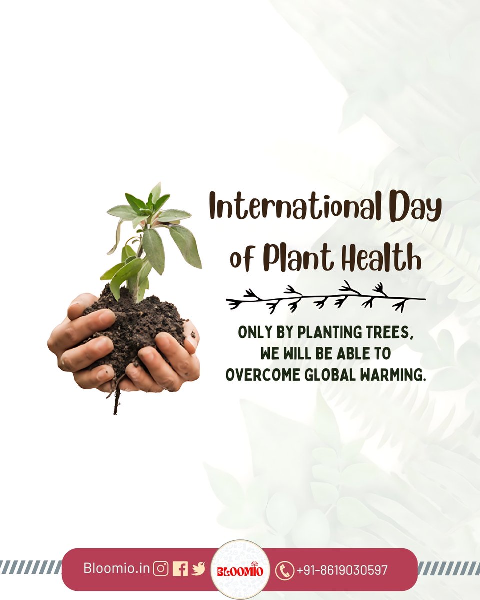 It's #InternationalDayofPlantHealth! Healthy plants mean healthy food & a healthy planet. What are you doing to protect our plant life? #PlantPower #PlantHealthDay #plantlover #bethe