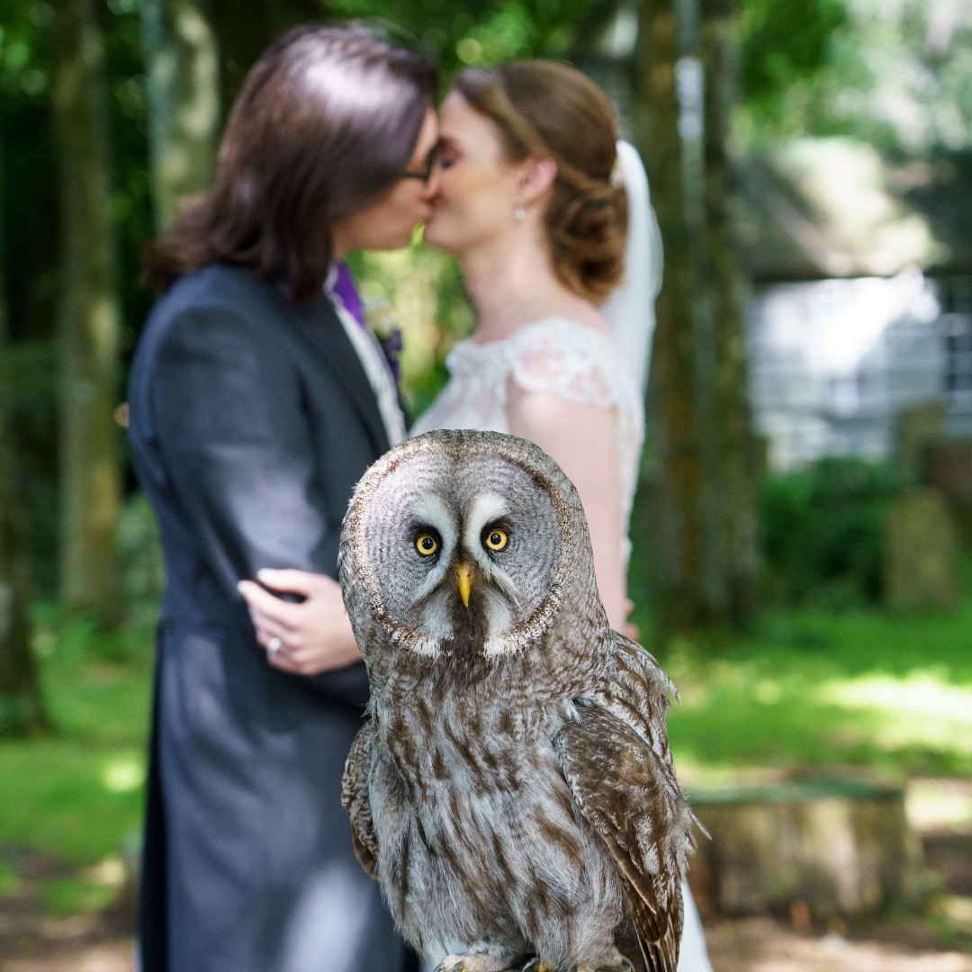 Love is in the air as we fly into our busy wedding season! 💒 Surrounded by nature and our beautiful birds, we've got you under our wing from ceremony to reception, with food and entertainment covered 💜 Looking for a venue like no other? Get in touch: hawk-conservancy.org/functions/wedd…