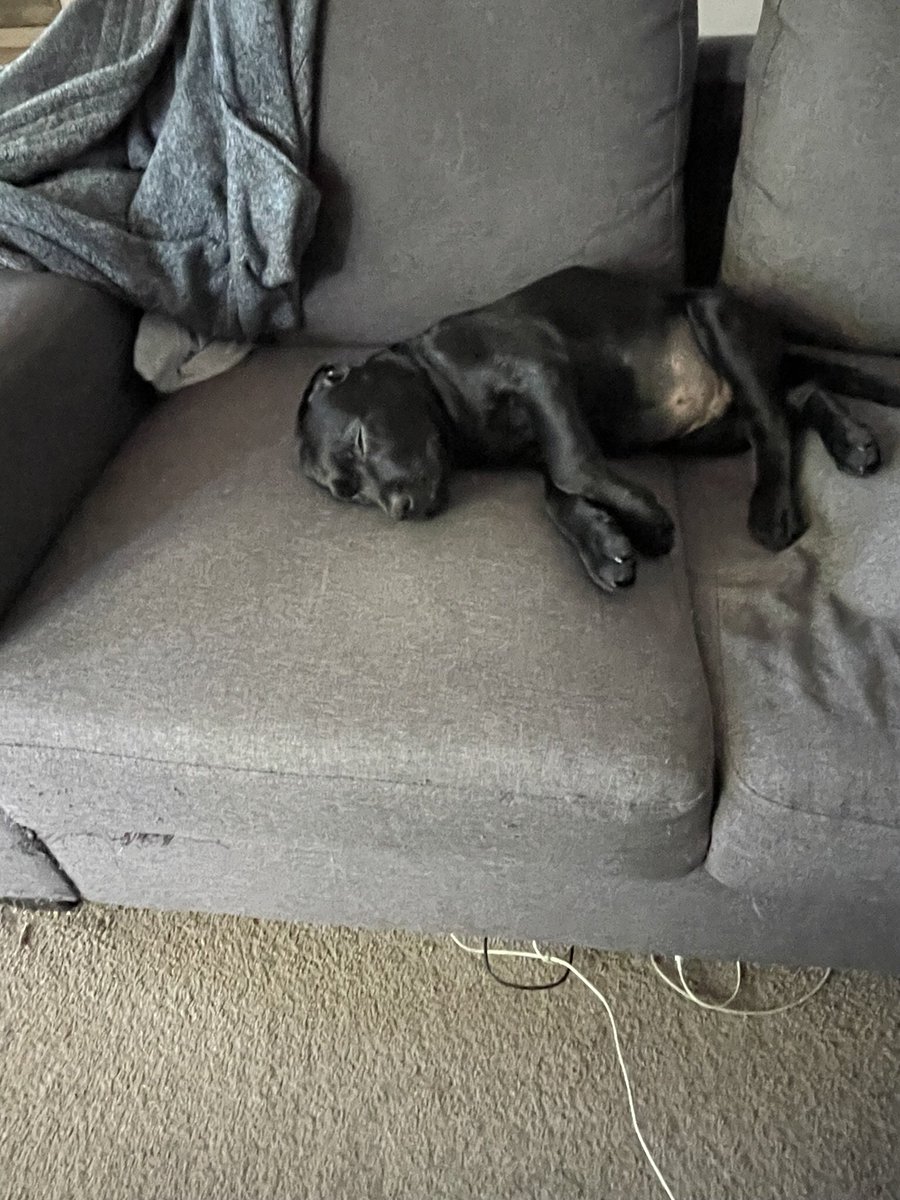 xskinn's tweet image. Me too,flat out here🥰🥰😆😆 #2LooseUnits #Plus2. Ian