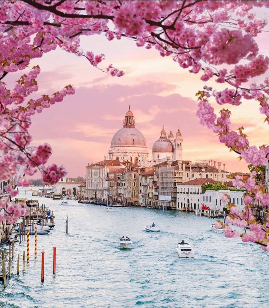 Awaken in bloom.

Venice, Italy